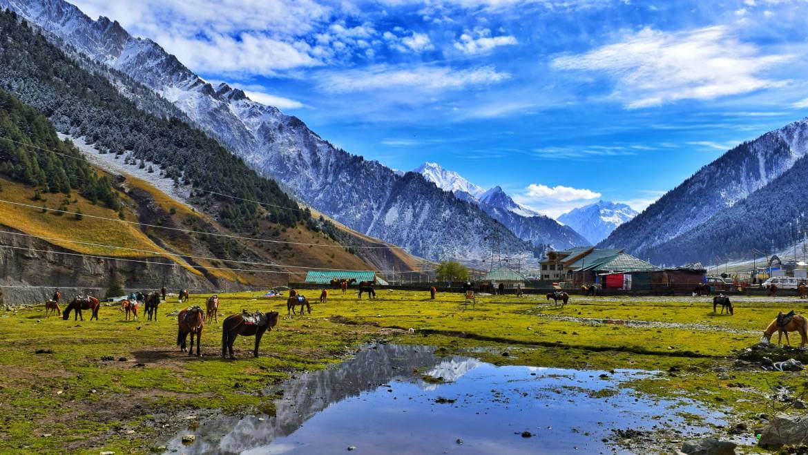 Exotic Kashmir