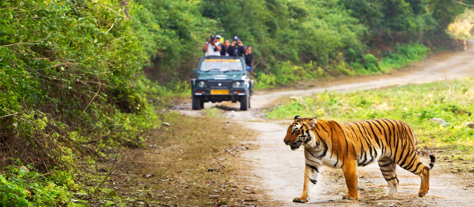 Jim Corbett with Jeep Safari Trip