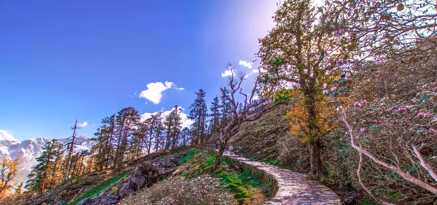 Dehradun Mussoorie Dhanaulti Trip