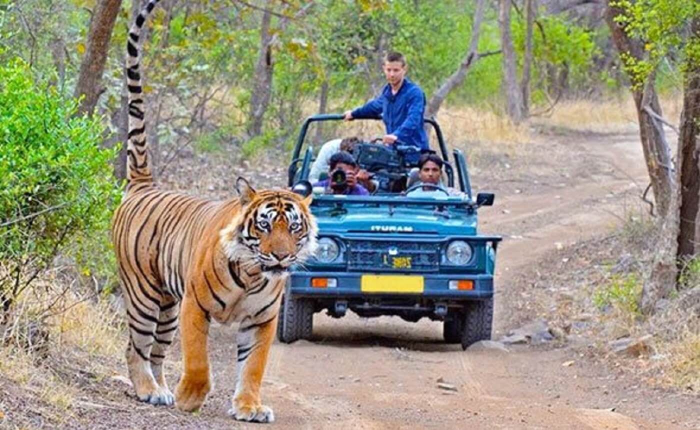 Nainital Jim Corbett with Jeep Safari Tour Package from Delhi
