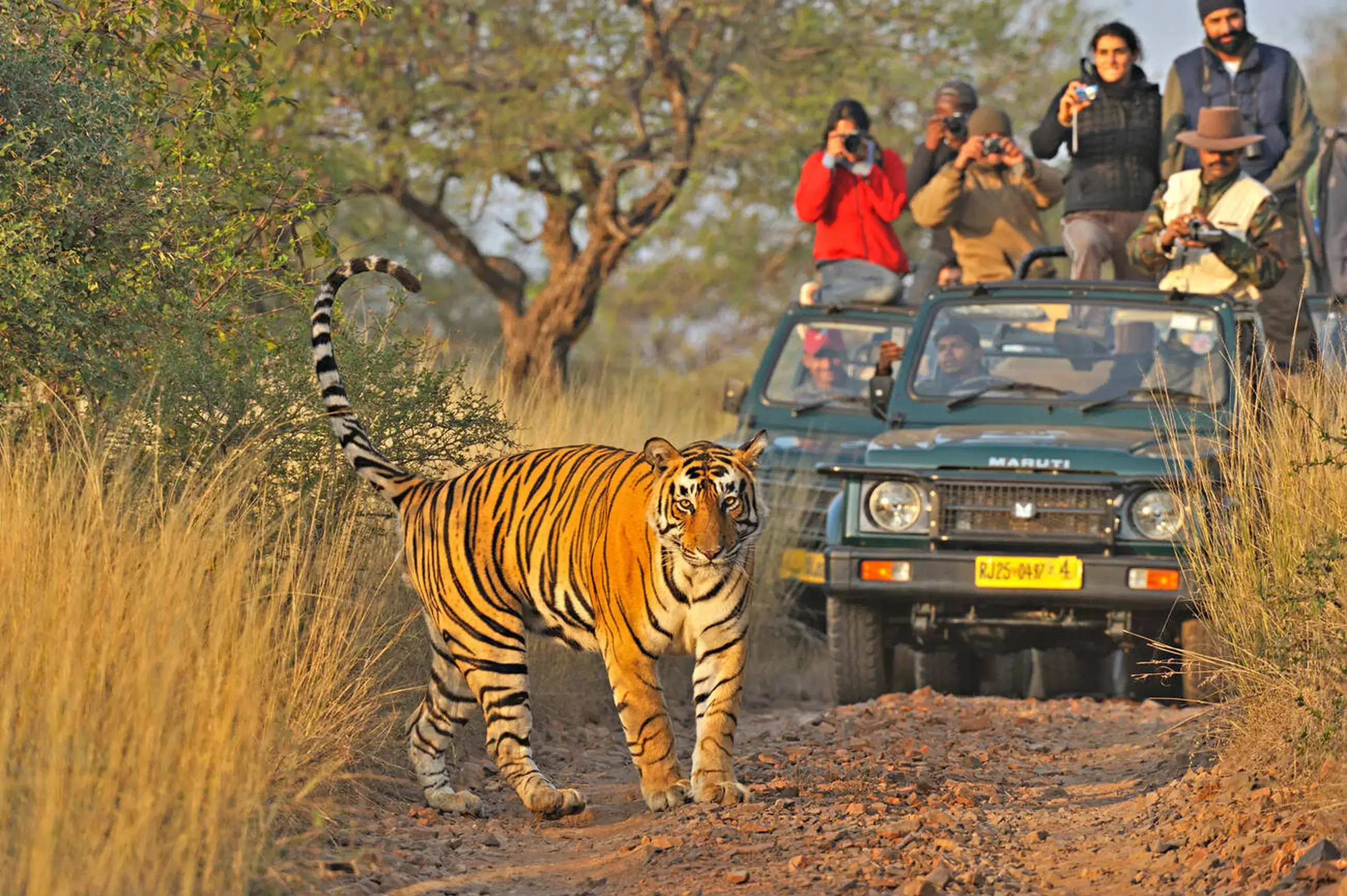 Jim Corbett with Jeep Safari Tour Package