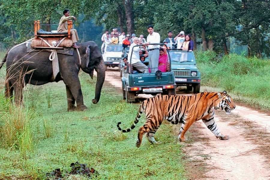 Jim Corbett Nainital Trip
