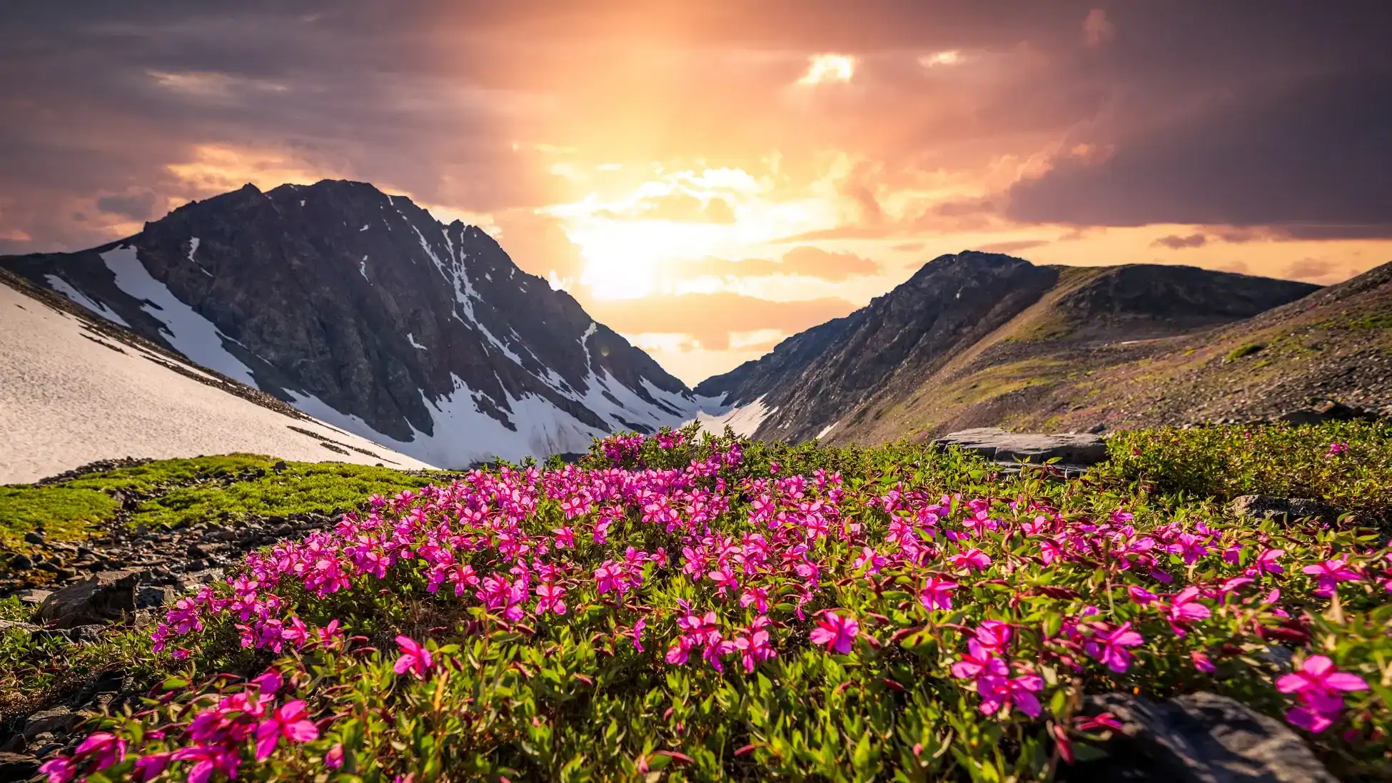 VALLEY OF FLOWERS LADAKH PACKAGE