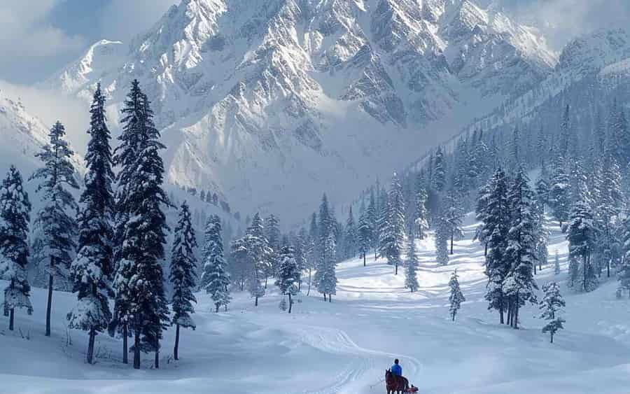 Kashmir Packages 
